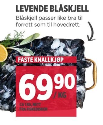 Meny Ukjent blåskjell tilbud