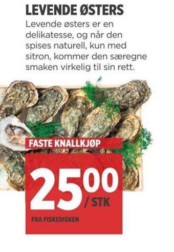 Meny LEVENDE ØSTERS tilbud