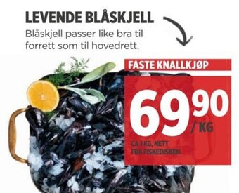Meny LEVENDE BLÅSKJELL tilbud