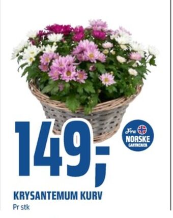 Coop Obs Ukjent plante tilbud