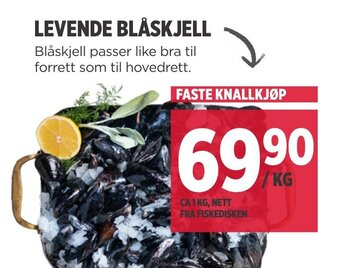 Meny LEVENDE BLÅSKJELL tilbud