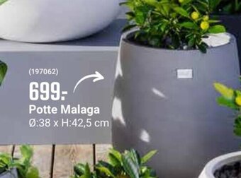 Europris Potte Malaga tilbud