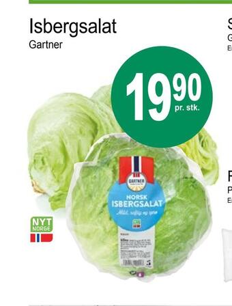 Joker Isbergsalat tilbud