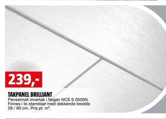 Bauhaus Takpanel brilliant tilbud