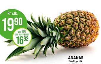 Kiwi Bendit ananas tilbud