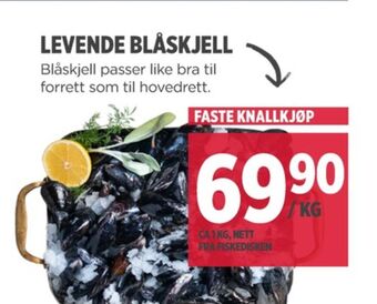 Meny Ukjent blåskjell tilbud
