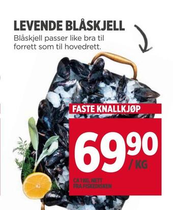Meny Levende blåskjell tilbud