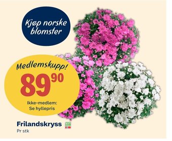 Coop Extra Frilandskryss tilbud