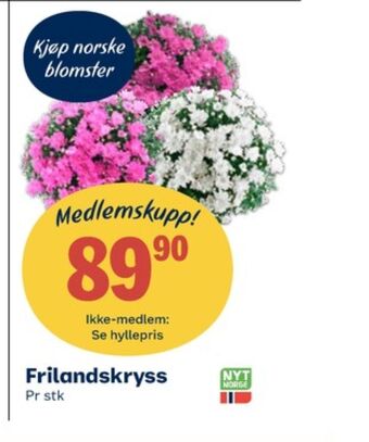 Coop Obs Ukjent plante tilbud