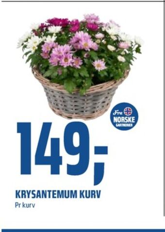 Coop Obs Ukjent plante tilbud