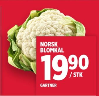 Meny Gartner blomkål tilbud