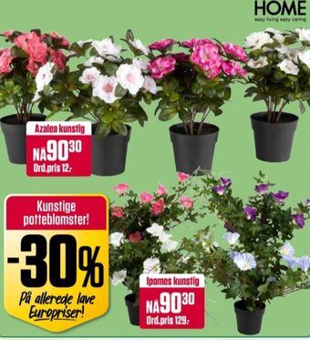 Europris Ukjent kunstige planter tilbud