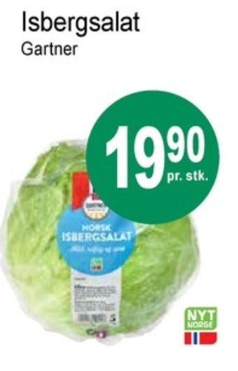 Joker Gartner isbergsalat tilbud