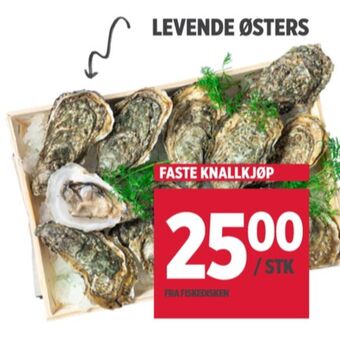 Meny Ukjent østers tilbud