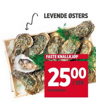 Meny Levende østers tilbud