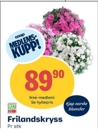 Coop Obs Ukjent plante tilbud