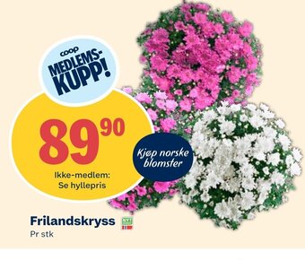 Coop Extra Frilandskryss tilbud