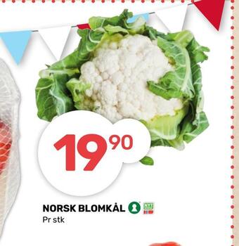 Matkroken Norsk blomkål tilbud