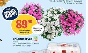 Matkroken Frilandskryss tilbud