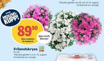 Matkroken Frilandskryss tilbud