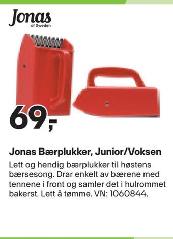 XXL Sport Jonas bærplukker, junior/voksen tilbud