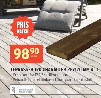 Montér TERRASSEBORD CHARACTER 28x120 MM KL 1 tilbud