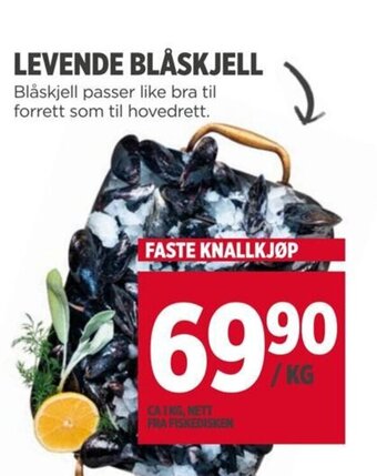 Meny LEVENDE BLÅSKJELL tilbud