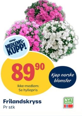 Coop Obs Ukjent plante tilbud