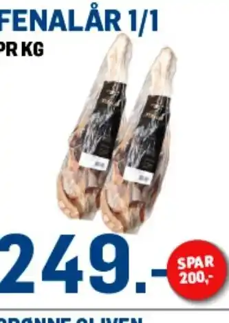 FENALÅR 1/1