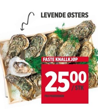 Meny LEVENDE ØSTERS tilbud