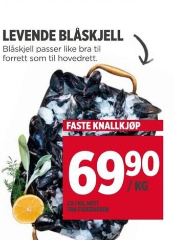 Meny LEVENDE BLÅSKJELL tilbud