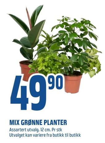 Coop Obs Mix grønne planter tilbud