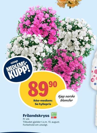 Coop Prix Frilandskryss tilbud