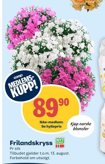Matkroken Frilandskryss tilbud