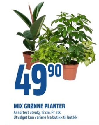 Coop Obs Ukjent plante tilbud