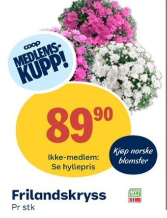 Coop Obs Ukjent plante tilbud