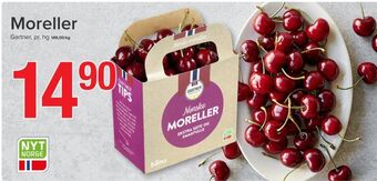 Gartner moreller