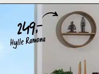 Europris Hylle ramona tilbud