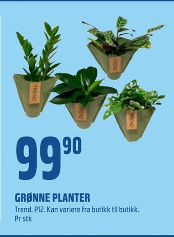 Coop Obs Grønne planter tilbud