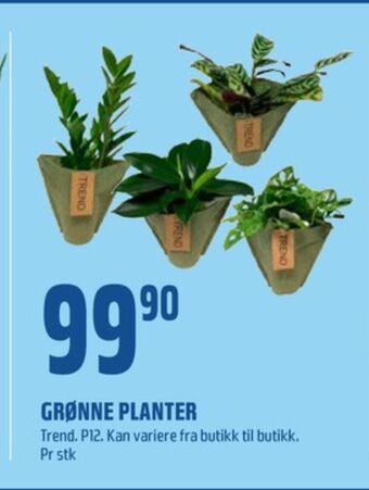 Coop Obs Ukjent plante tilbud