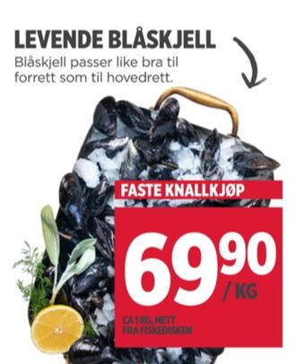Meny Ukjent blåskjell tilbud
