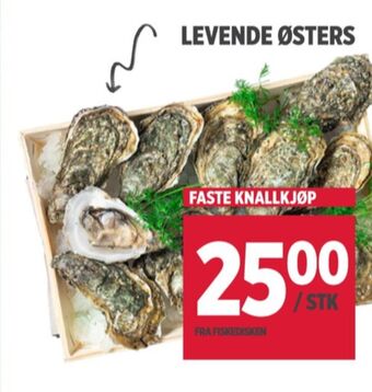 Meny Ukjent østers tilbud