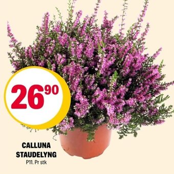 Coop Extra CALLUNA STAUDELYNG tilbud