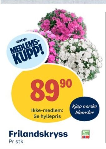 Coop Obs Ukjent plante tilbud