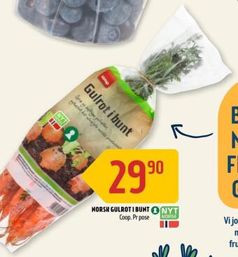 Coop Prix Norsk gulrot i bunt tilbud