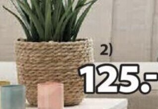 JYSK Stefan Blomsterpotte tilbud