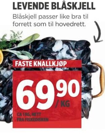 Meny LEVENDE BLÅSKJELL tilbud