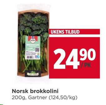 Meny Norsk brokkolini tilbud