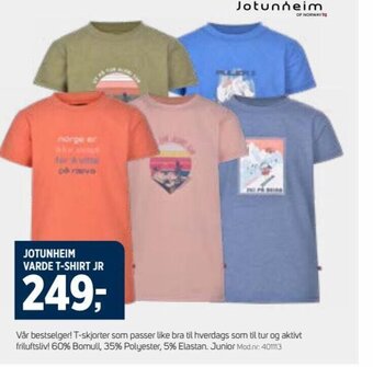 Sport 1 JOTUNHEIM VARDE T-SHIRT JR tilbud