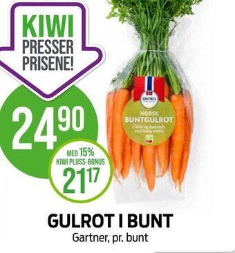 Kiwi GULROTI BUNT Gartner tilbud
